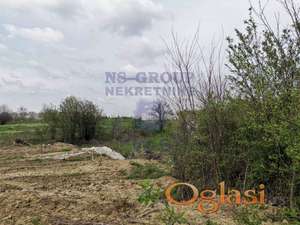 Poljoprivredno zemljiste u Ceneju