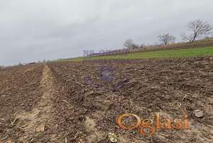 POLJOPRIVREDNO ZEMLJISTE