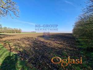 Poljoprivredno zemljište - Čenej - 14275m2