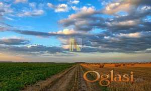 Poljoprivredno zemljište 75ha u Bačkoj