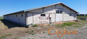 Srbobran, Odlične dve hale za proizvodnju ili magacin