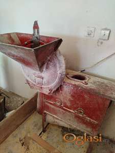 Odžačka krupara sa slika