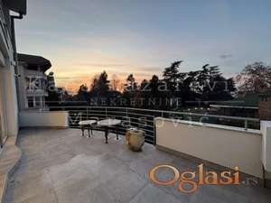 Sanje Živanovića, Senjak ID#54127