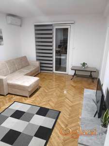 LEP STAN,PET& FRIENDLY