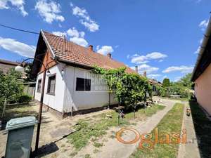 Subotica-Dudova Šuma-velika kuća od čvrstog materijala ID#2221