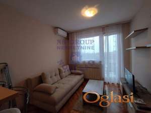 Garsonjera na Novoj Detelinari