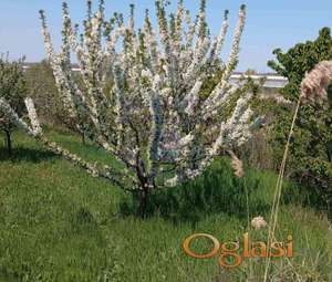 Odličan plac u Sremskim Karlovcima