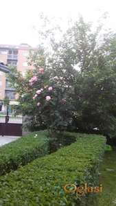 Pocetak Bulevara Evrope kuca za dvoje namestena