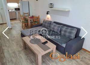 Centar - Zvezdara Lion #67127