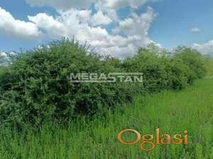 Šiljakovac, plac u zelenilu