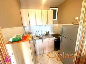 Cara Dušana-pet friendly