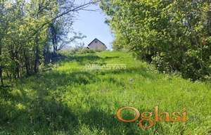 Pinosava, deljiv na više parcela