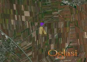 Prodaja - Poljoprivredno zemljište - blizina Koviljske petlje i autoputa