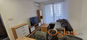 NOV STAN,PET& FRIENDLY