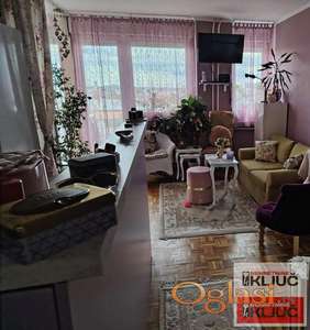 SOCIJALNO, 50m2, Dvoiposoban, Funkcionalan