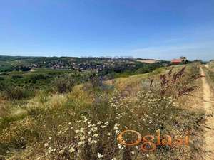 Plac 2383m2 Sremski Karlovci