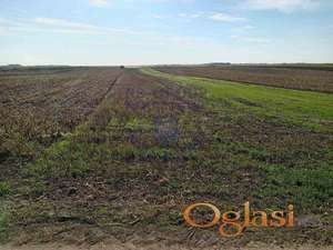 Odličan plac u Inđiji!