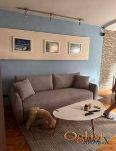  LEPO NAMEŠTEN PET FRIENDLY DVOSOBAN STAN - GRBAVICA