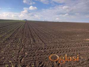 512910-Poljuprivredno zemljiste-28550m2-Industrijska zona