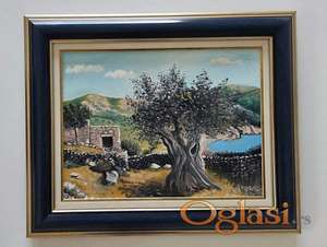 Ulje na platnu - Tisina pod maslinom